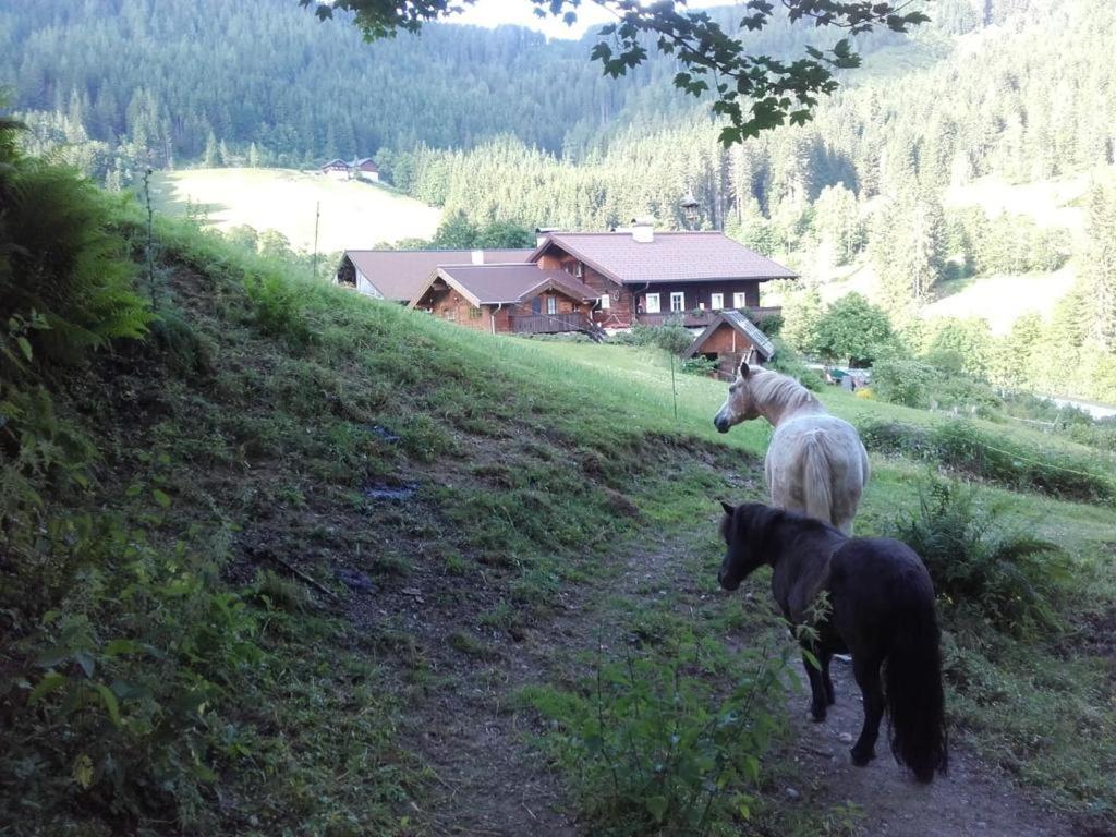 Apartamento Neudegghof Eben Im Pongau Exterior foto