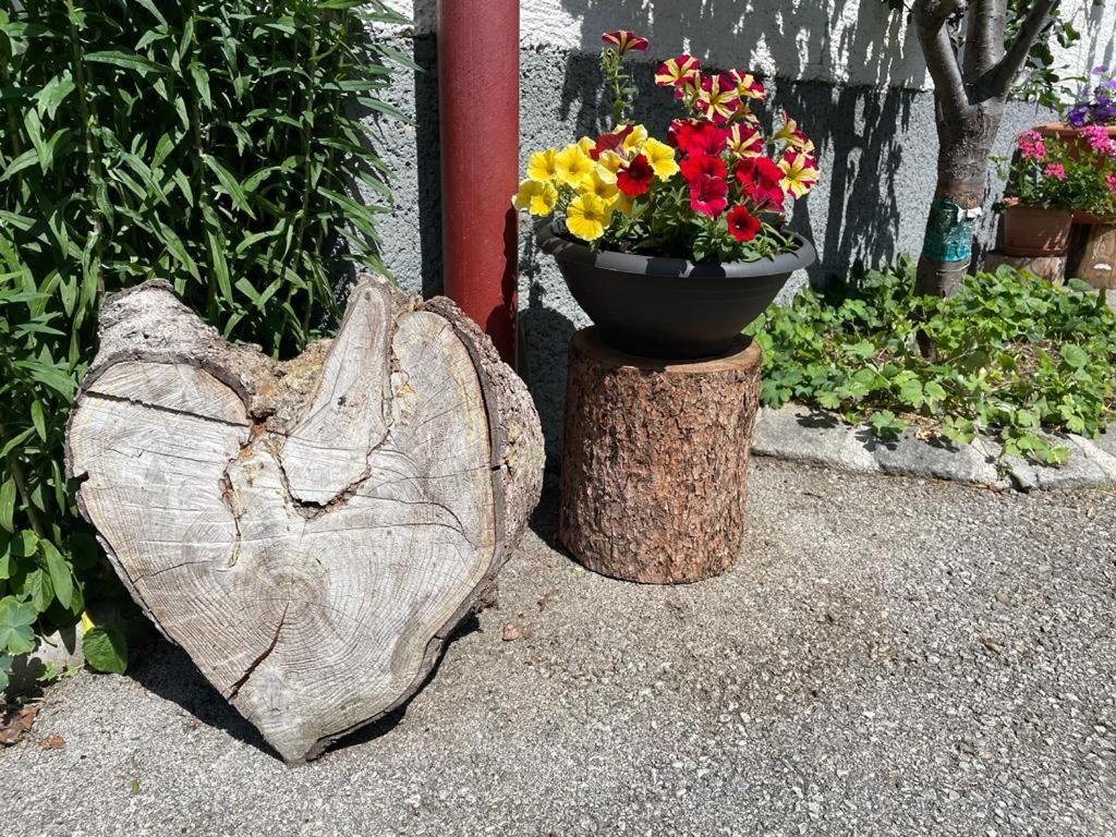 Apartamento Neudegghof Eben Im Pongau Exterior foto