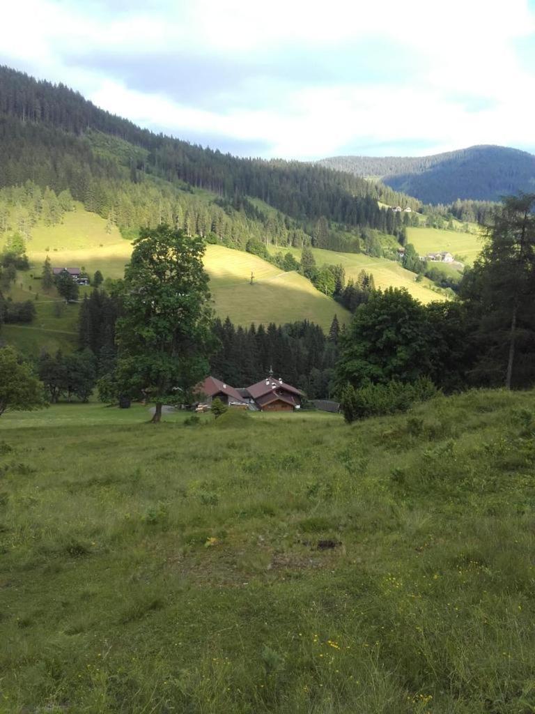 Apartamento Neudegghof Eben Im Pongau Exterior foto