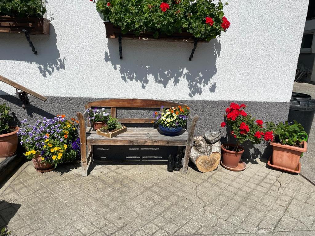 Apartamento Neudegghof Eben Im Pongau Exterior foto